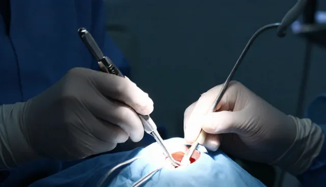 医疗技术服务选型关注点，如何应对实际处理难题